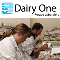 Dairy One Forage App