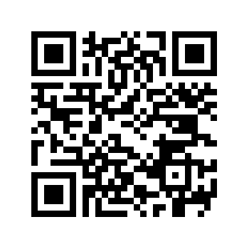 Zig Zag QR code